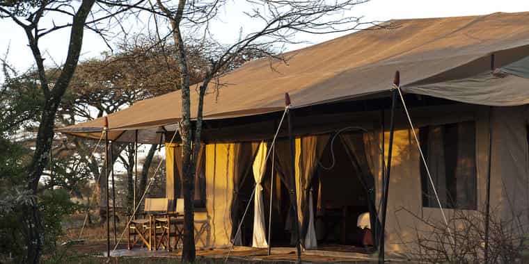 View of the tent from outside