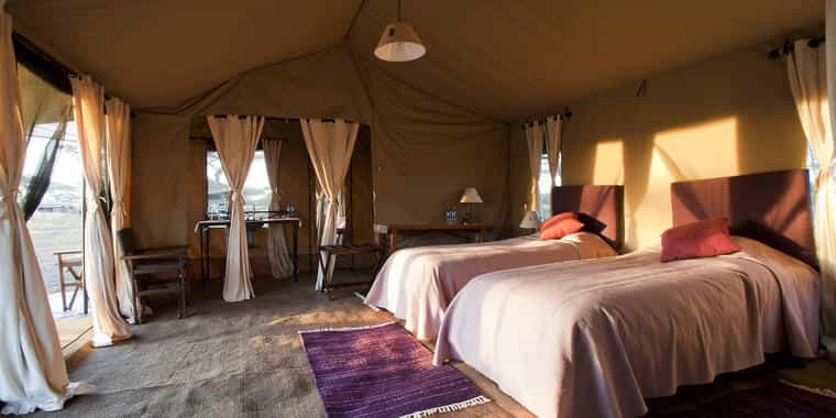 View inside tent