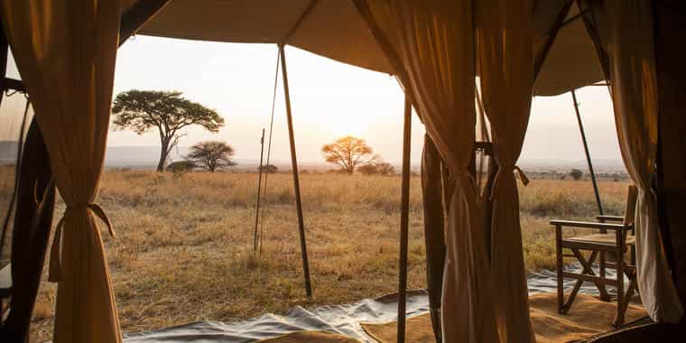 View from the lounge tent