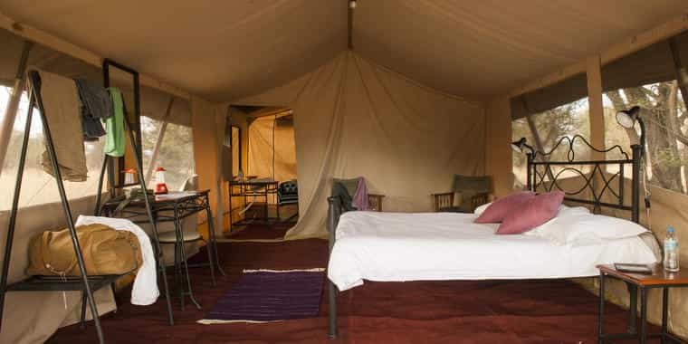 View from inside tent 2
