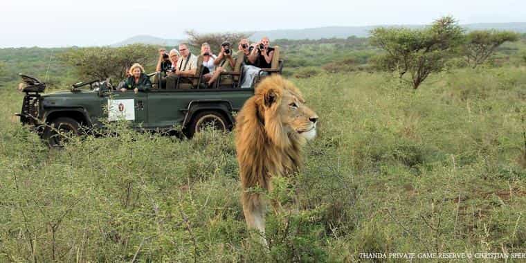 Game Viewing