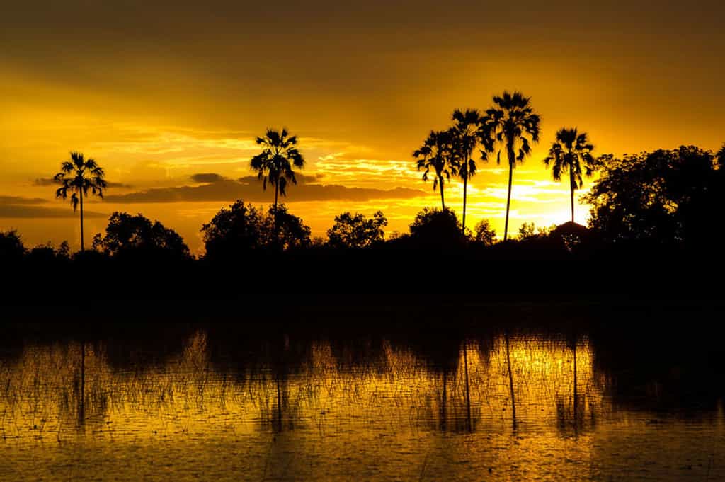 Delta Landscape
