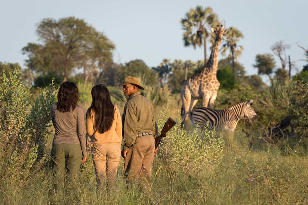Walking Safari
