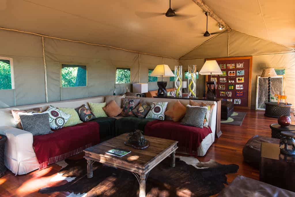 Camp Lounge