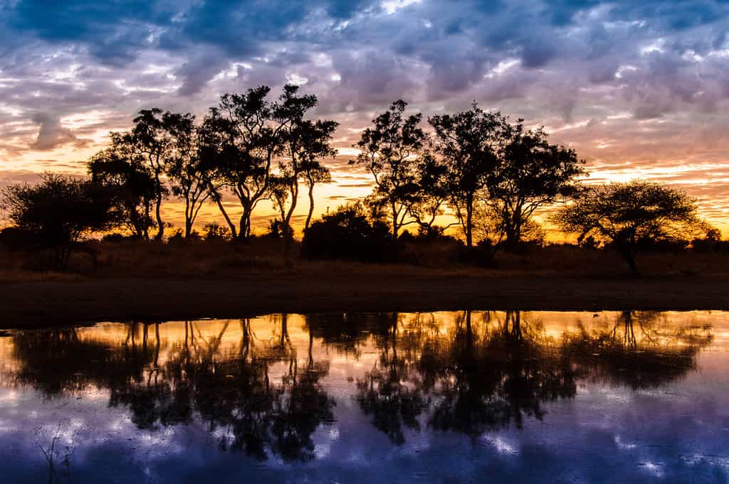 Mombo sunset and reflection