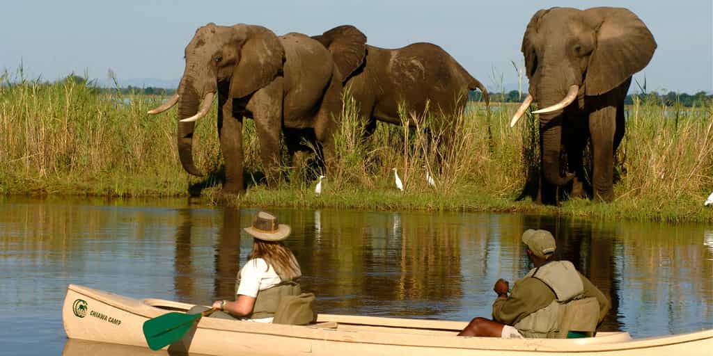 Canoeing the Zambezi River 