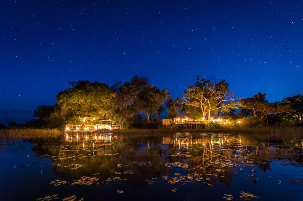 Pelo Camp by night