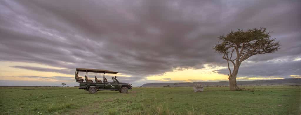 Game Drive
