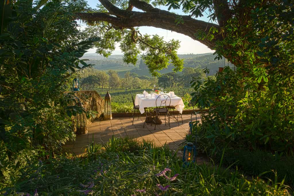 Outside dining