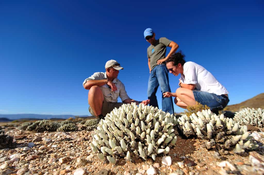 Exploring the hidden landscape & fabulous flora at Sanbona Wildlife Reserve
