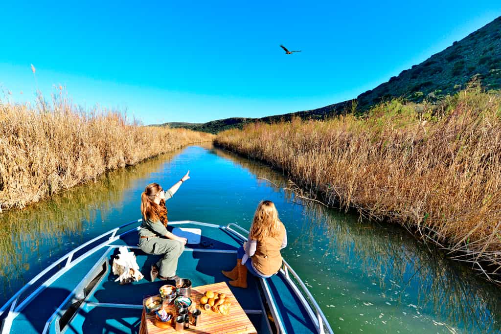 Boat Safari