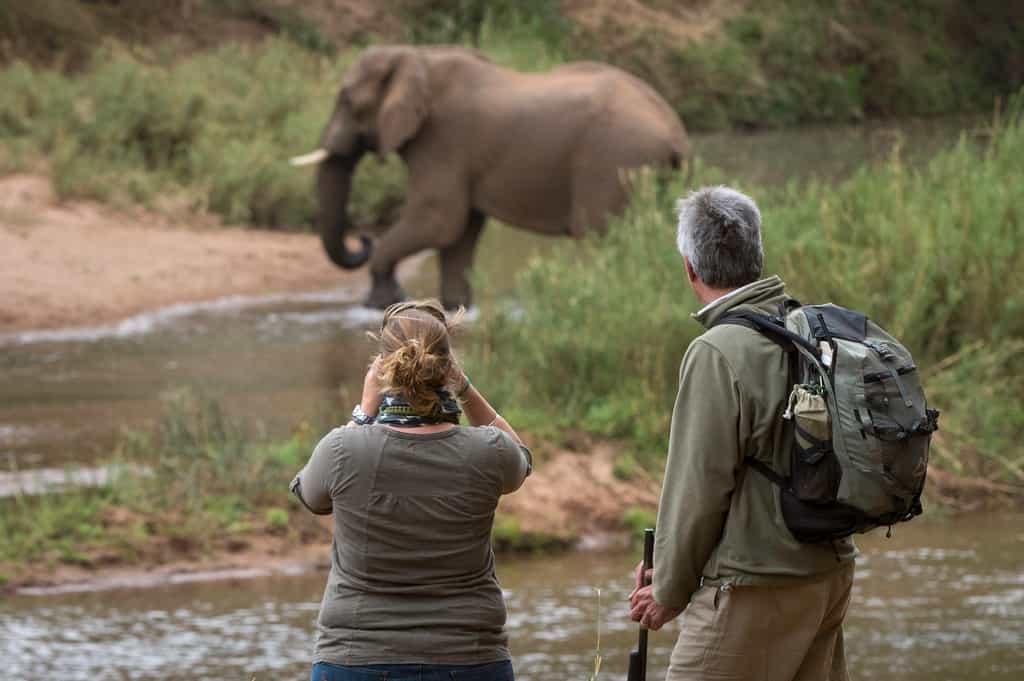 Spectacular walking safaris