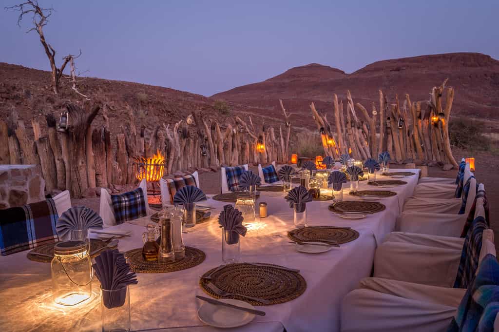 Desert Elephants