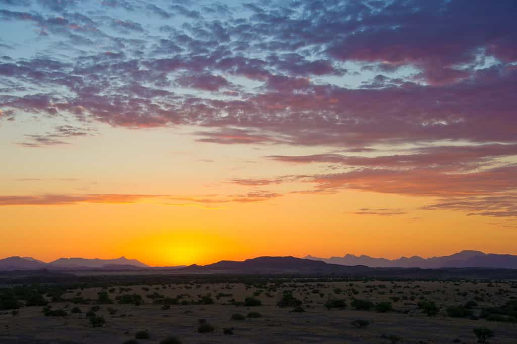 Desert Landscape