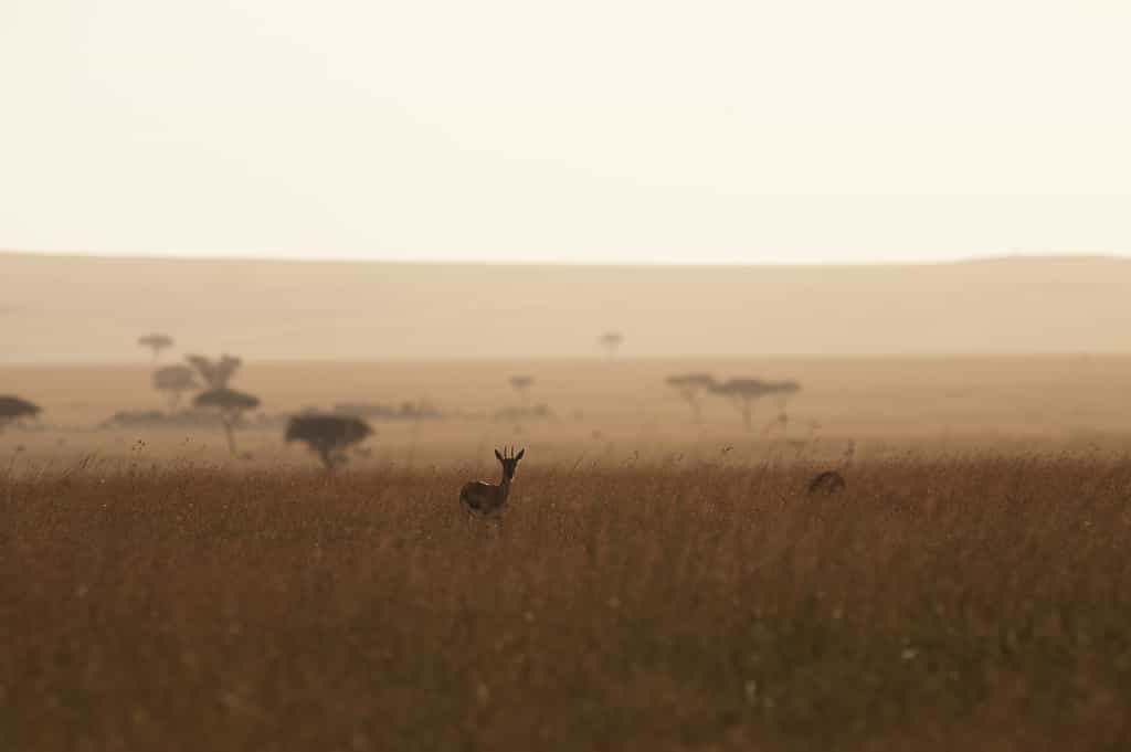 Wide open space and incredible vistas await. 