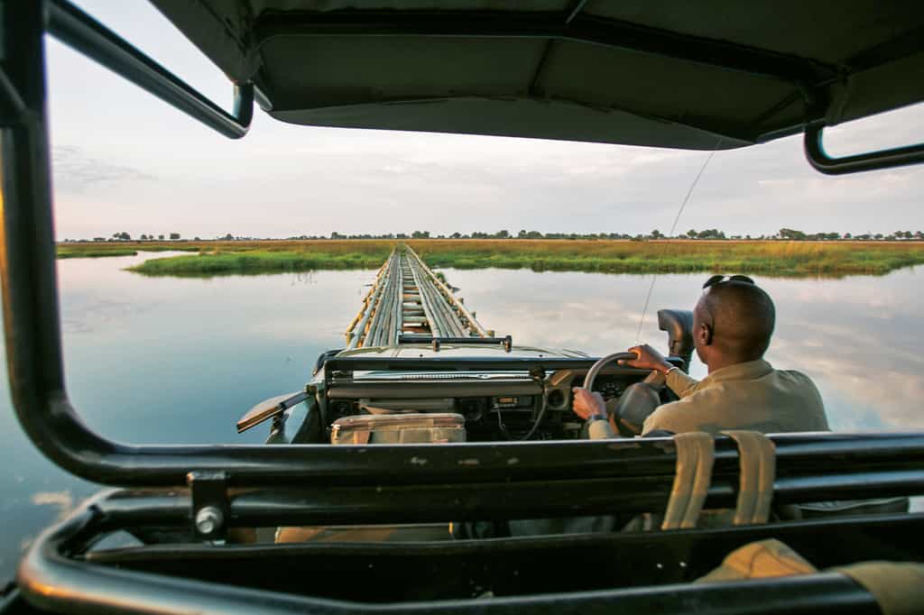 Duba Game Drive