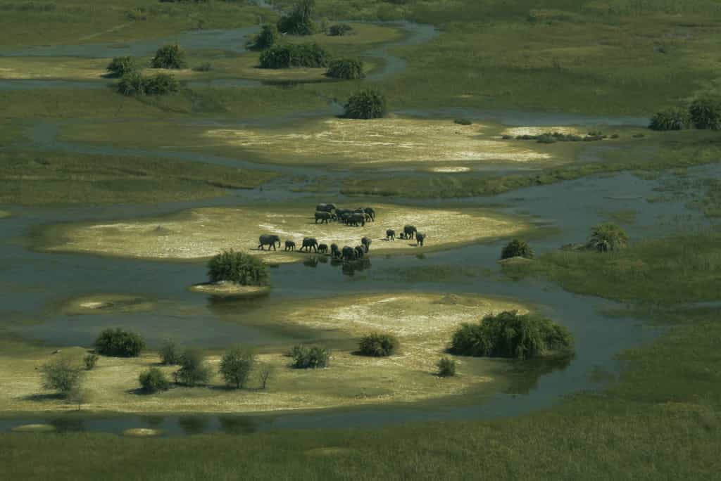 Duba Landscape from the Air