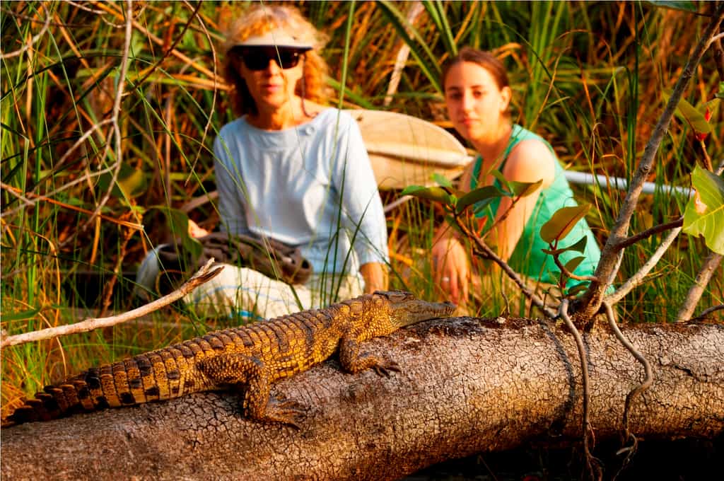 Water Monitor basking in the winter sunshine