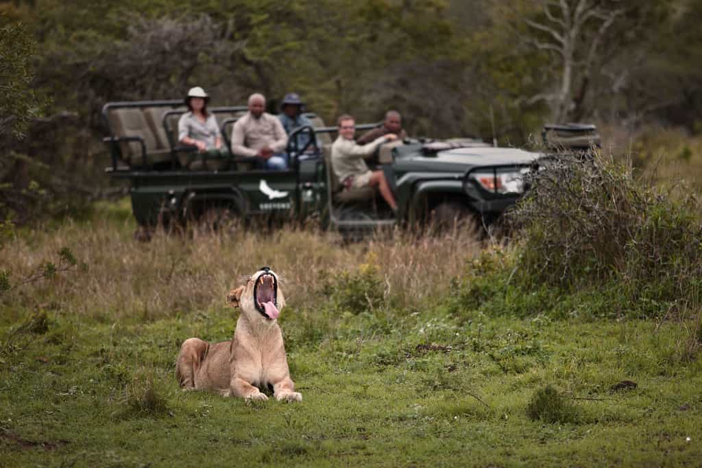 Game Drive