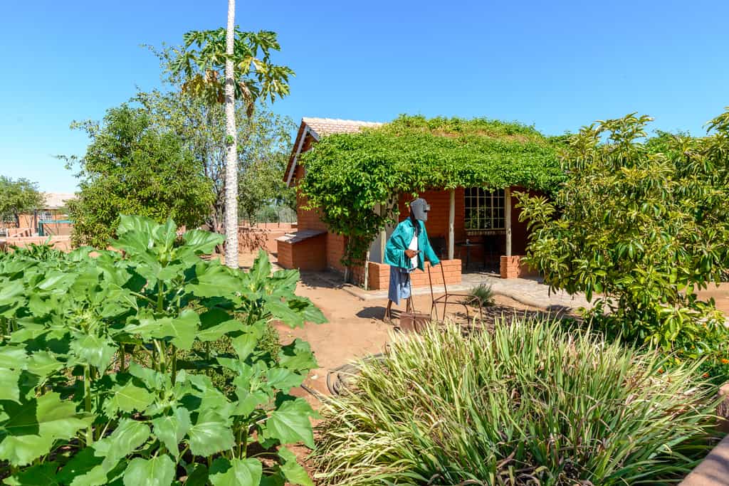 Garden view 
