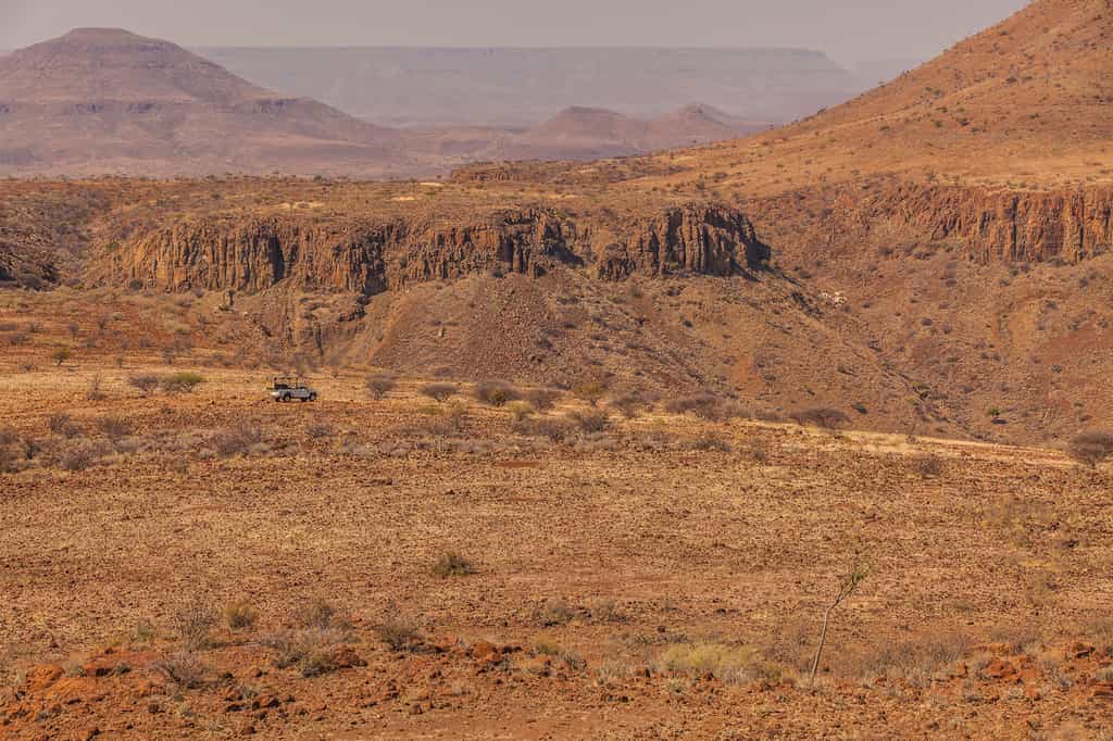 Guided walks