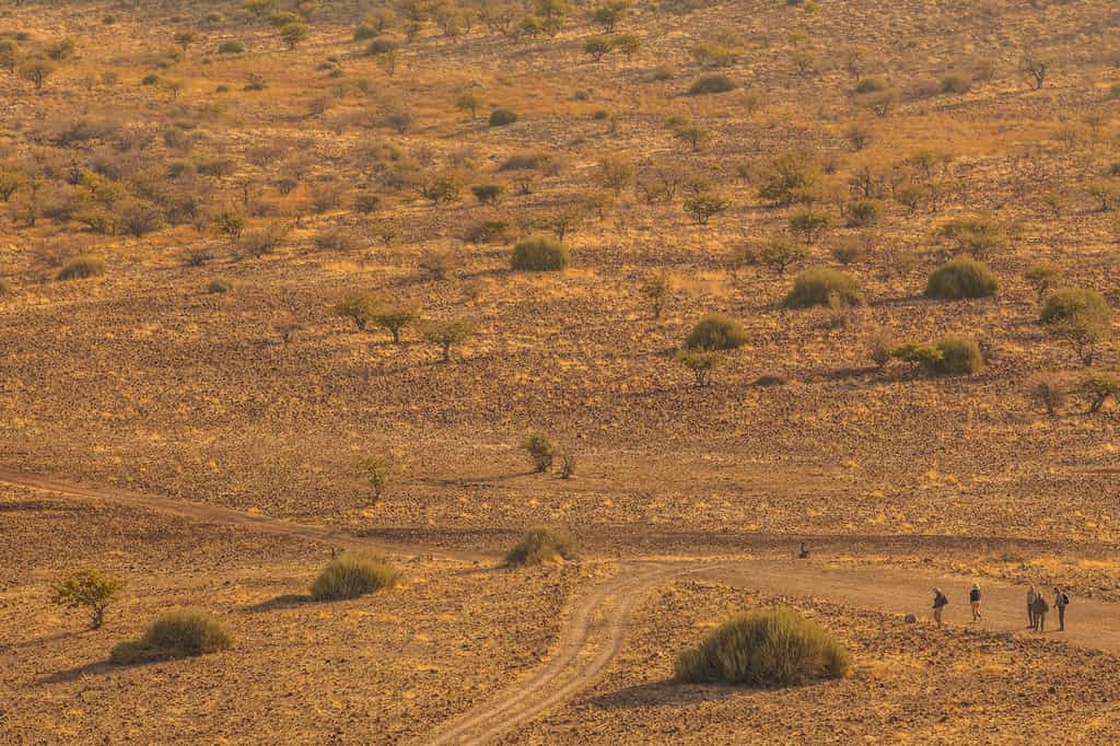 Guided walks