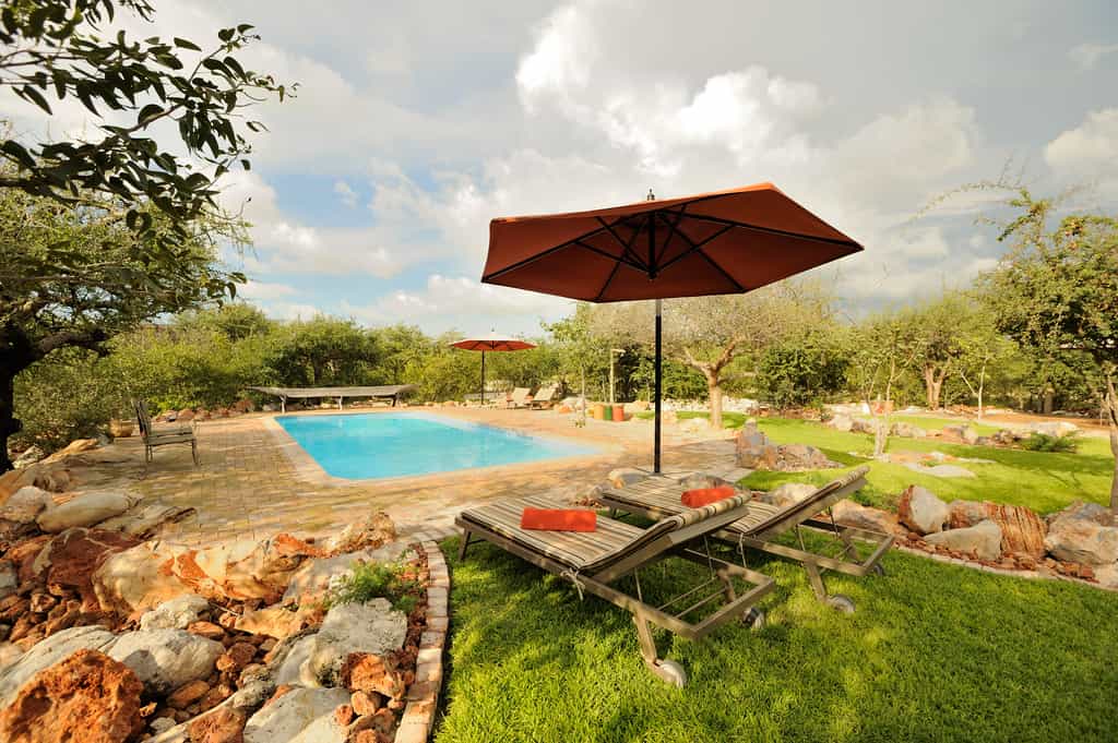 Sparkling Pool at Etosha Village