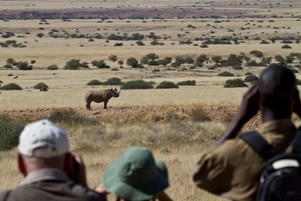 Rhino Tracking