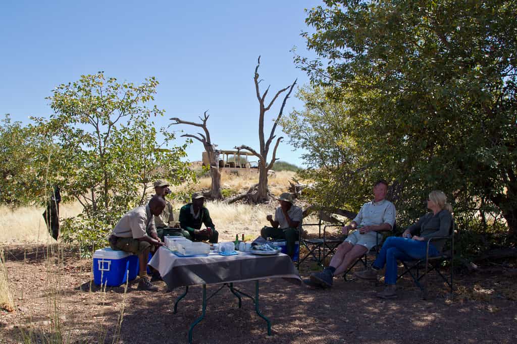 Bush Brunch