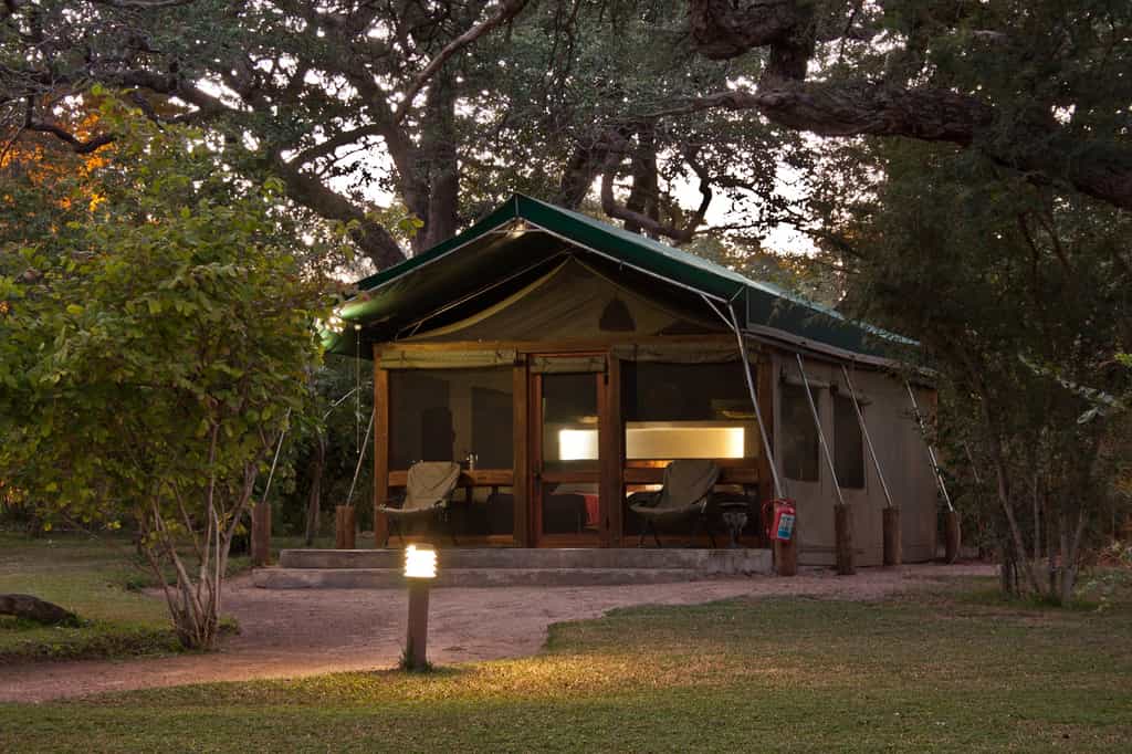 The forest tents are set beneath sturdy knobthorn trees