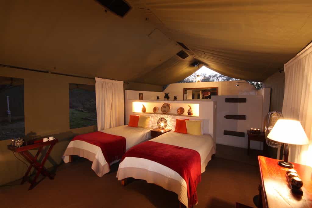 One of the tents located in the forest