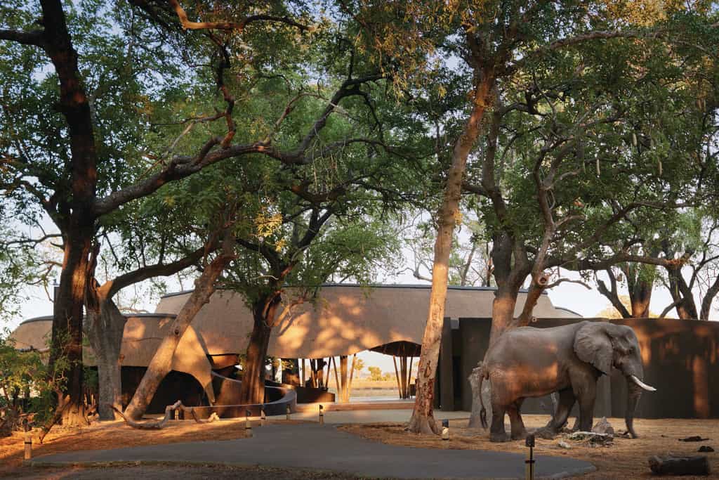 With an elephant making his welcome appearance