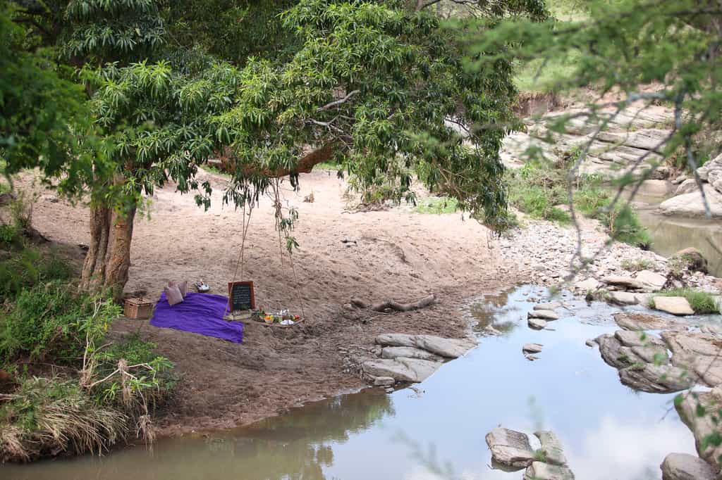 Riverbed Lunch