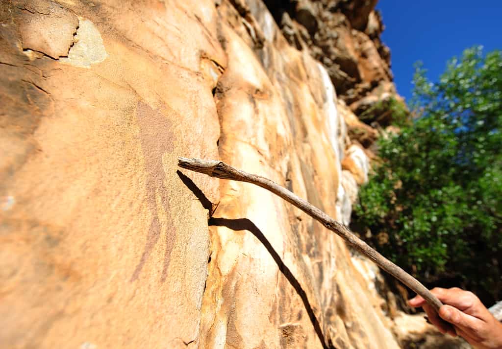Sanbona Rock Art
