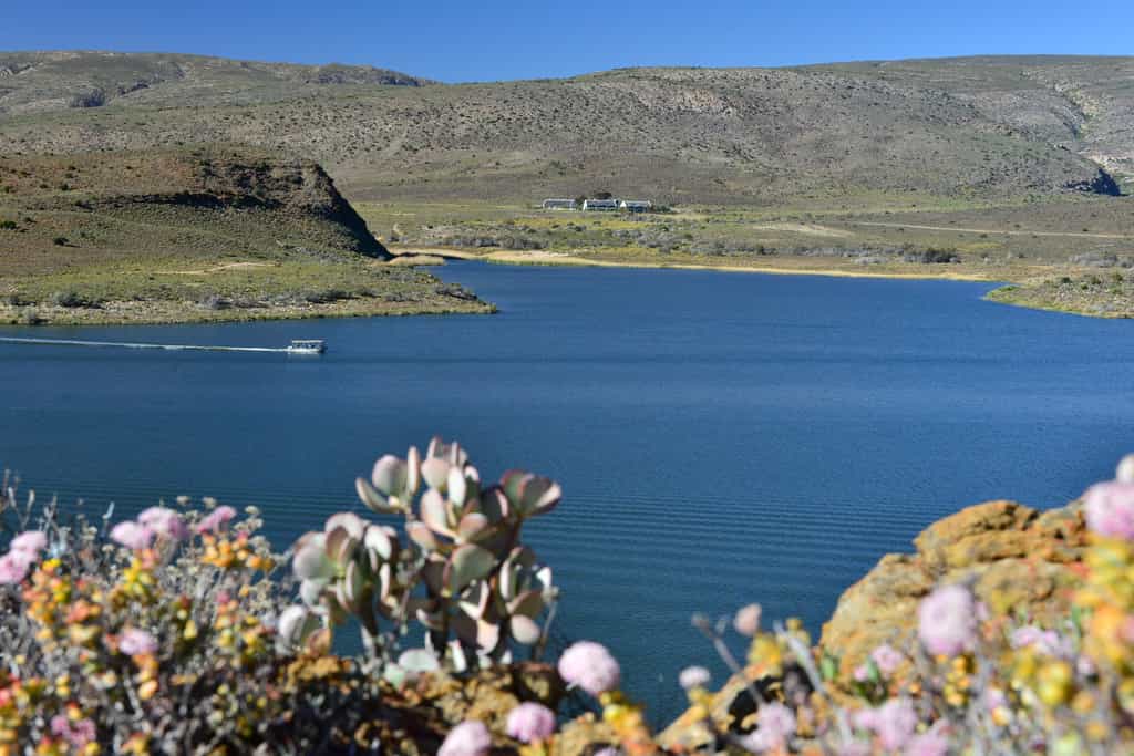 Sanbona Boat Safari