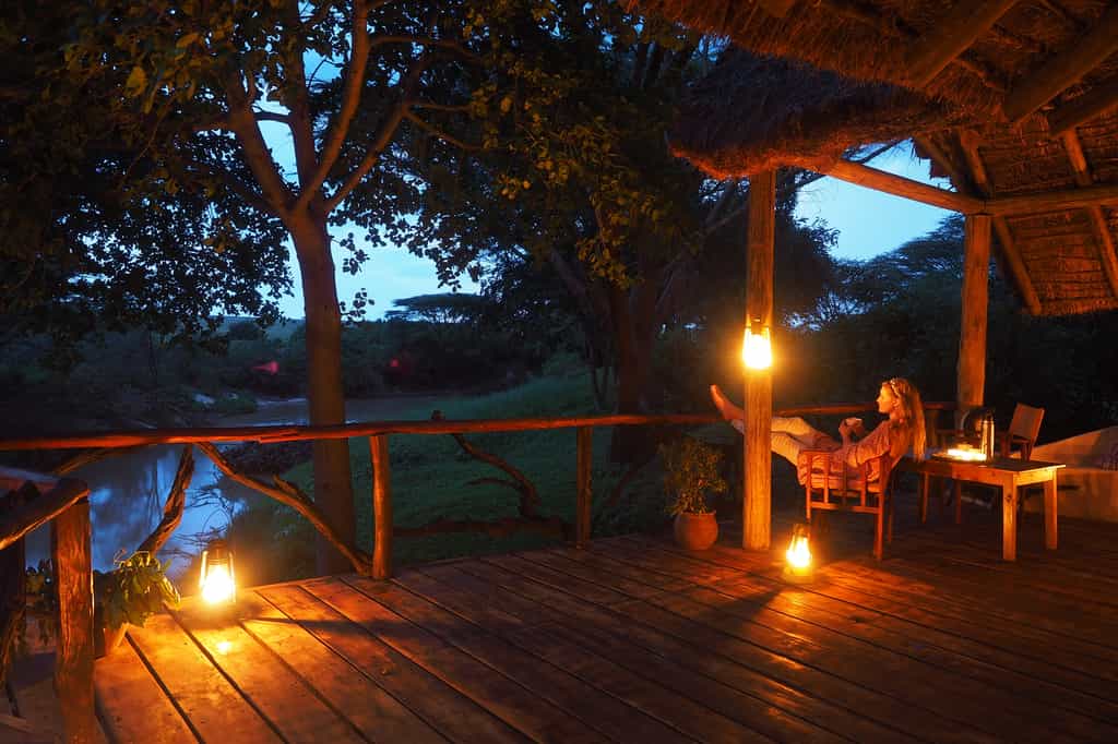 An evening on the Savannah