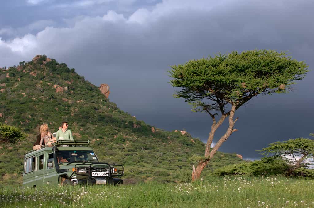 Game driving in the Conservancy