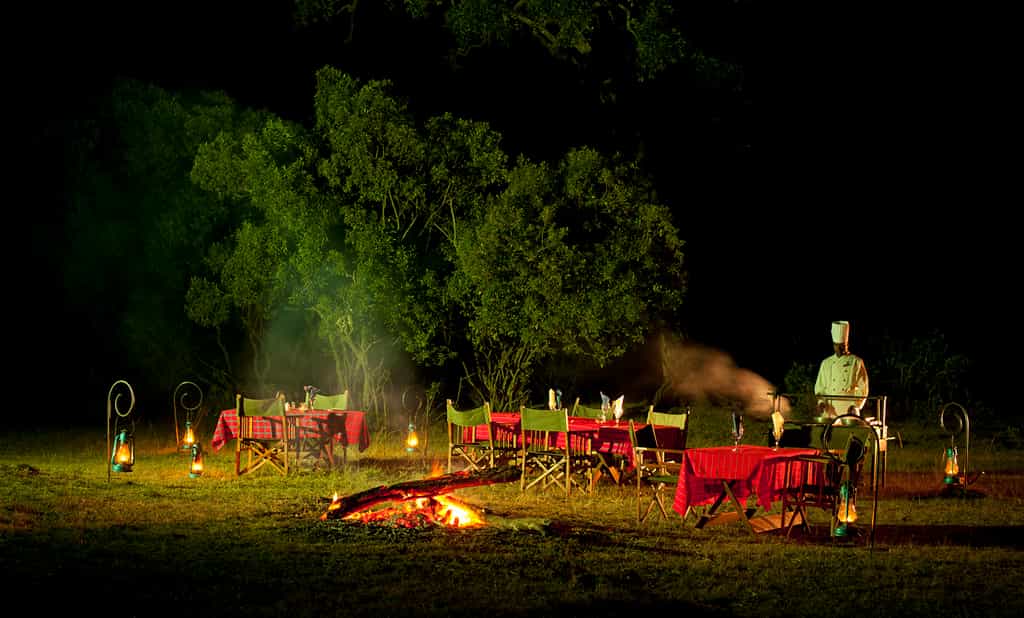 Dinning in the bush under the stars