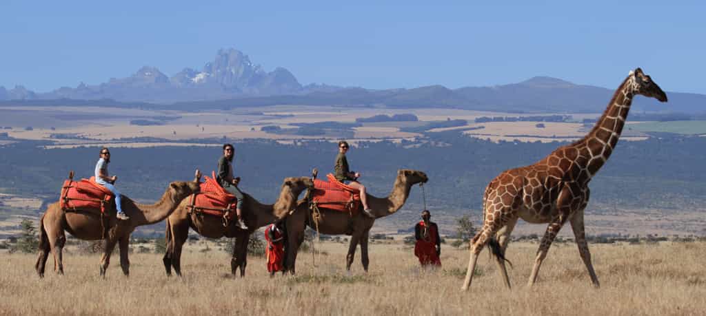 Activities - Camel Walk / Ride