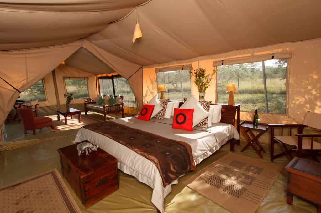 Suite with bedroom and lounge.