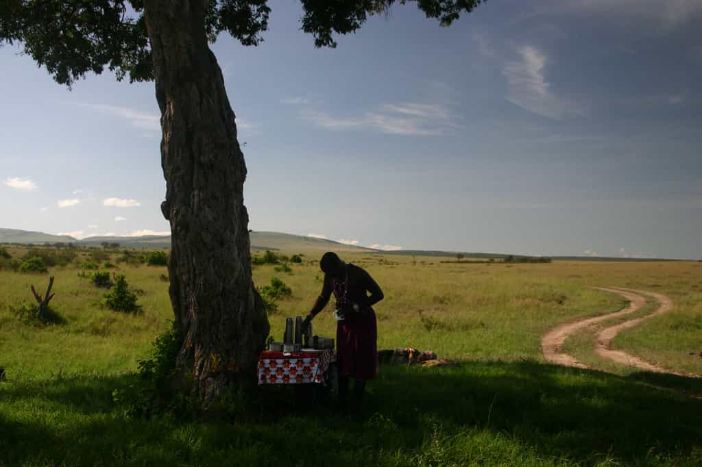 Stop in the shade of a tree in the heat of the day.