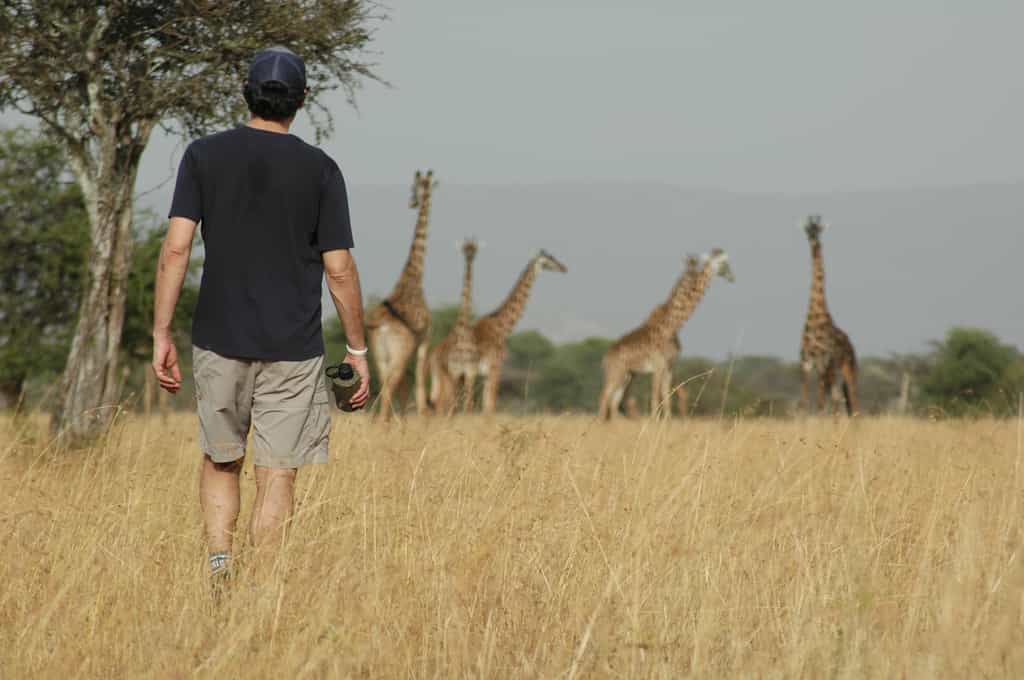 Walk out of camp with your guide & Maasai spotter.