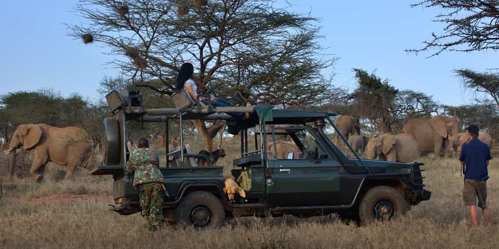Game drives
