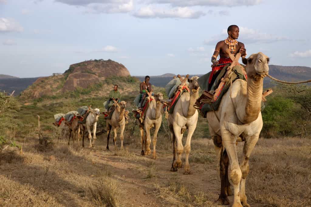 Camel riding