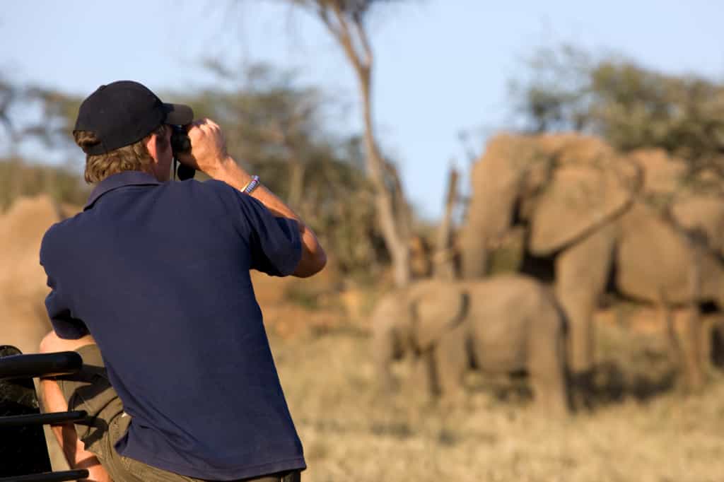 Game drive
