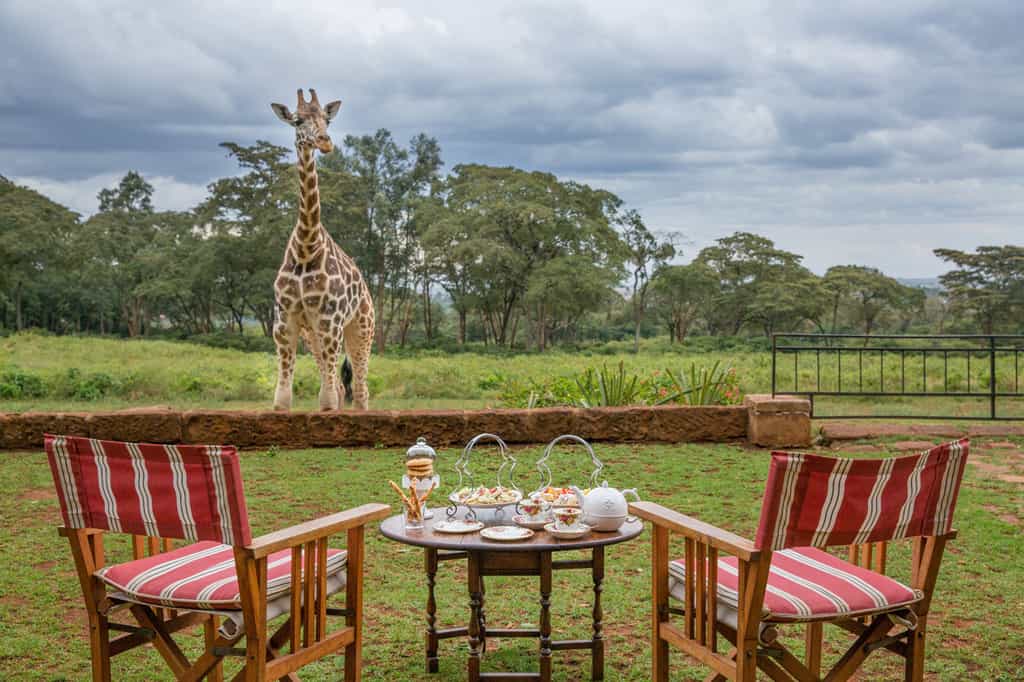 Afternoon tea