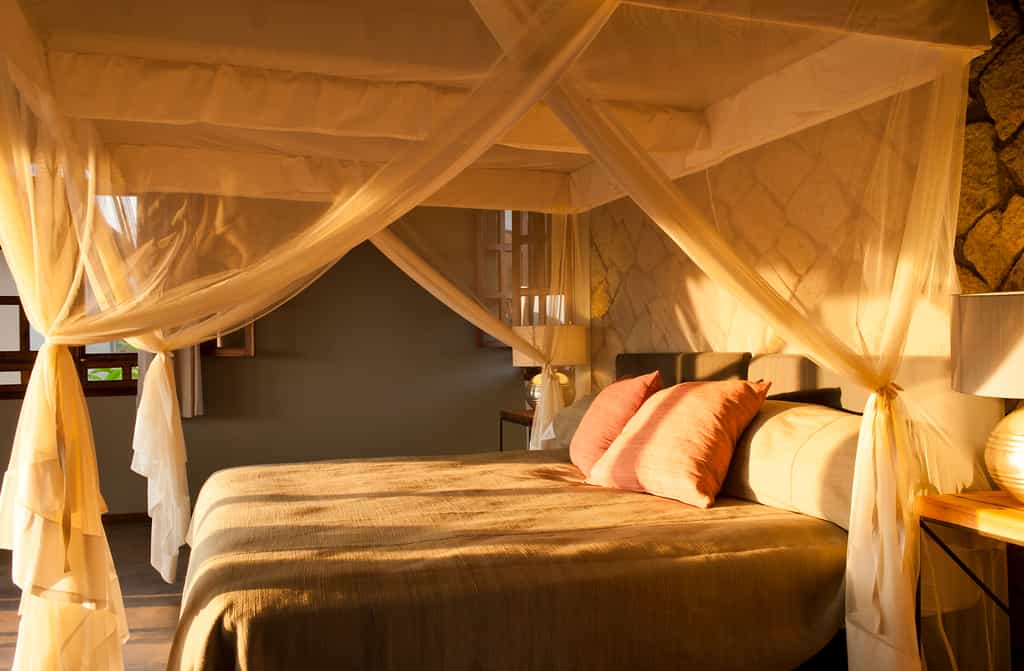Room from inside