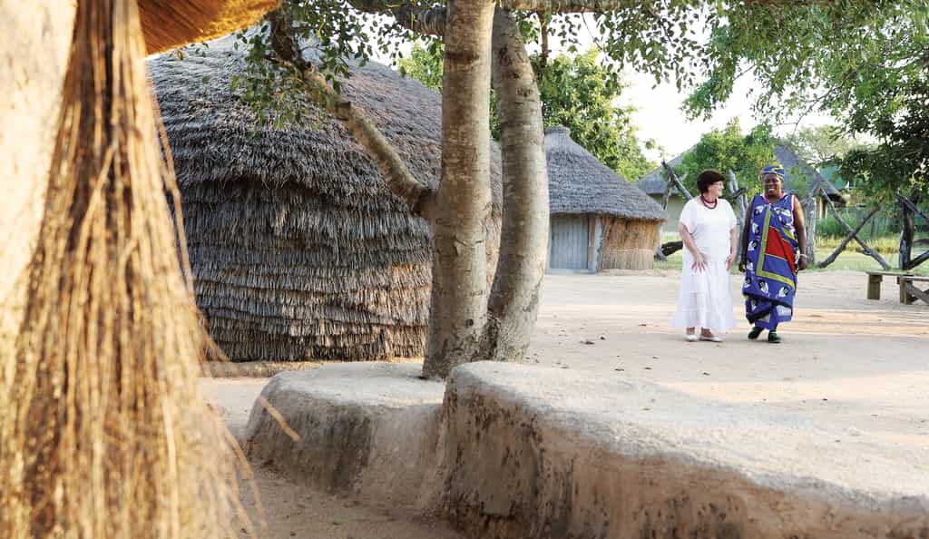 Londolozi Elders 