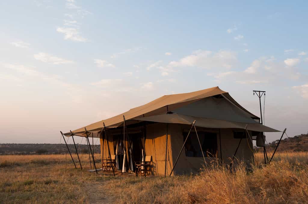 View of the tent