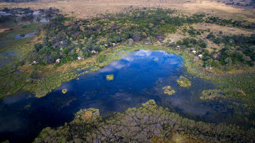 Aerial